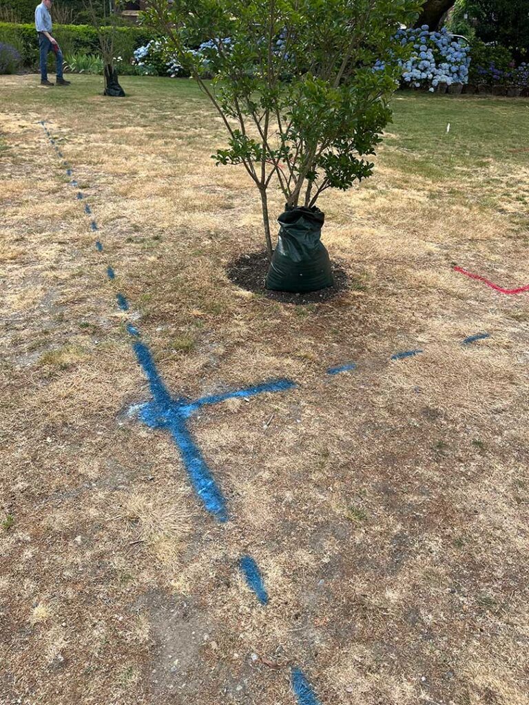 st marks cathedral utility locating 4